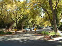 Residential street